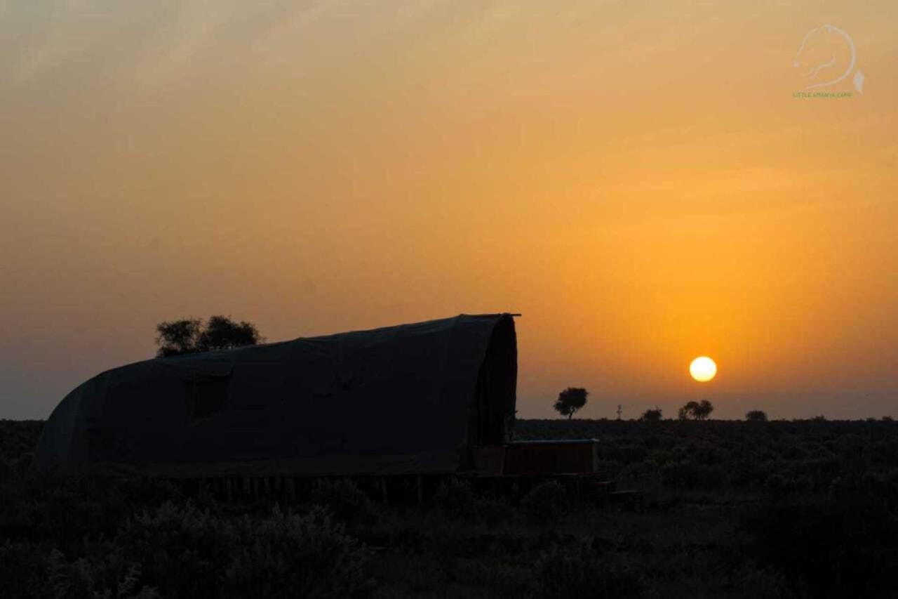 Amanya 2-Rooms Lioness Family Amboseli Exterior foto