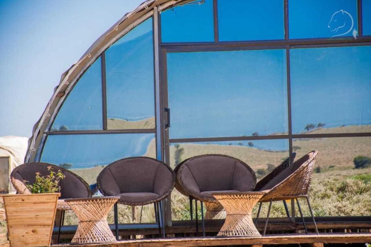 Amanya 2-Rooms Lioness Family Amboseli Exterior foto
